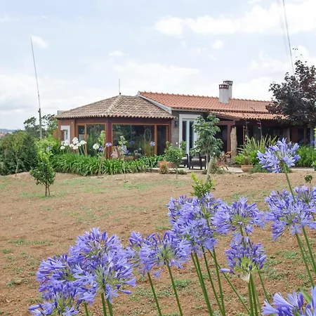 D'olivia Lovely Homes *