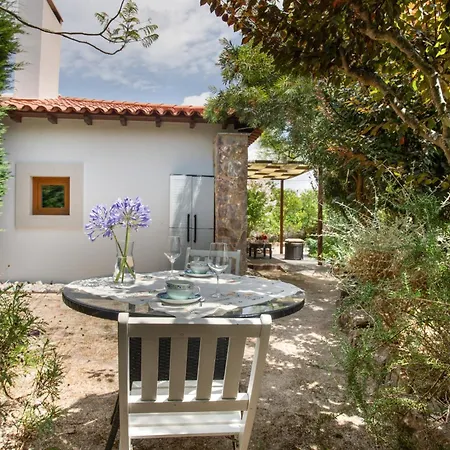 D'olivia Lovely Homes בית חווה Cela (Leira)